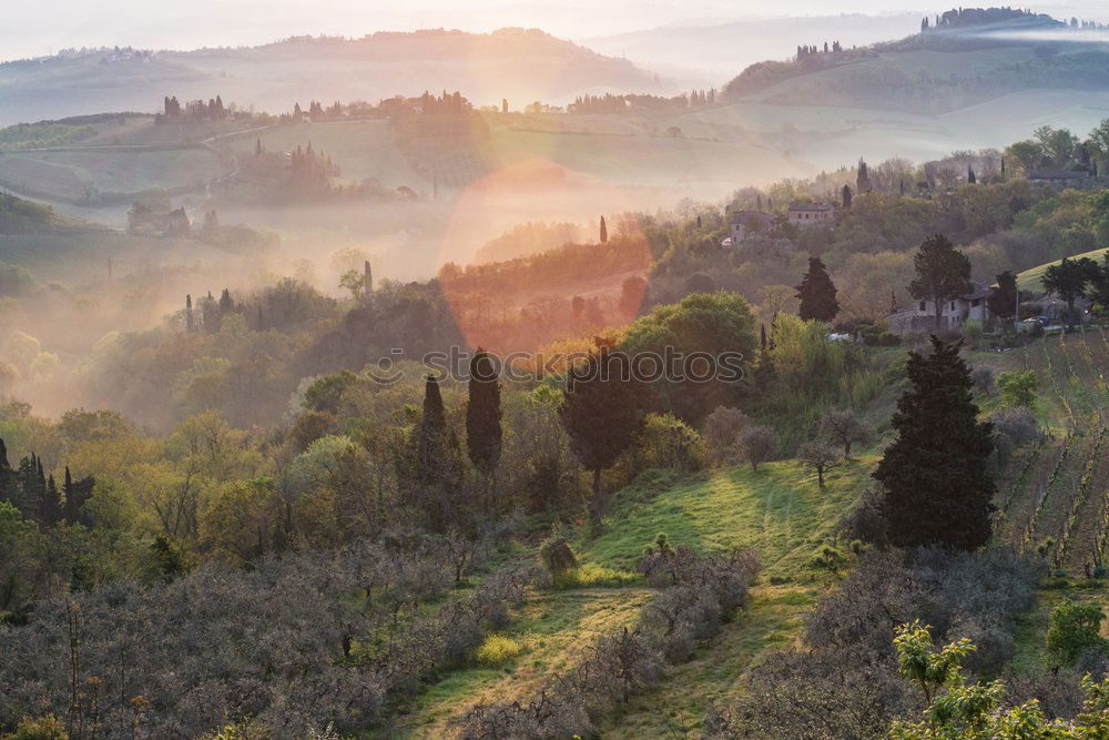 Similar – Val d’Orcia, Tuscany, Italy