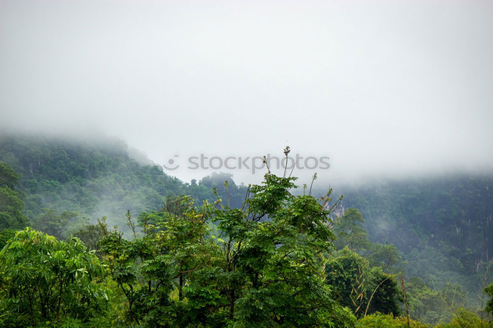 Similar – Wafts of mist in the Black Forest