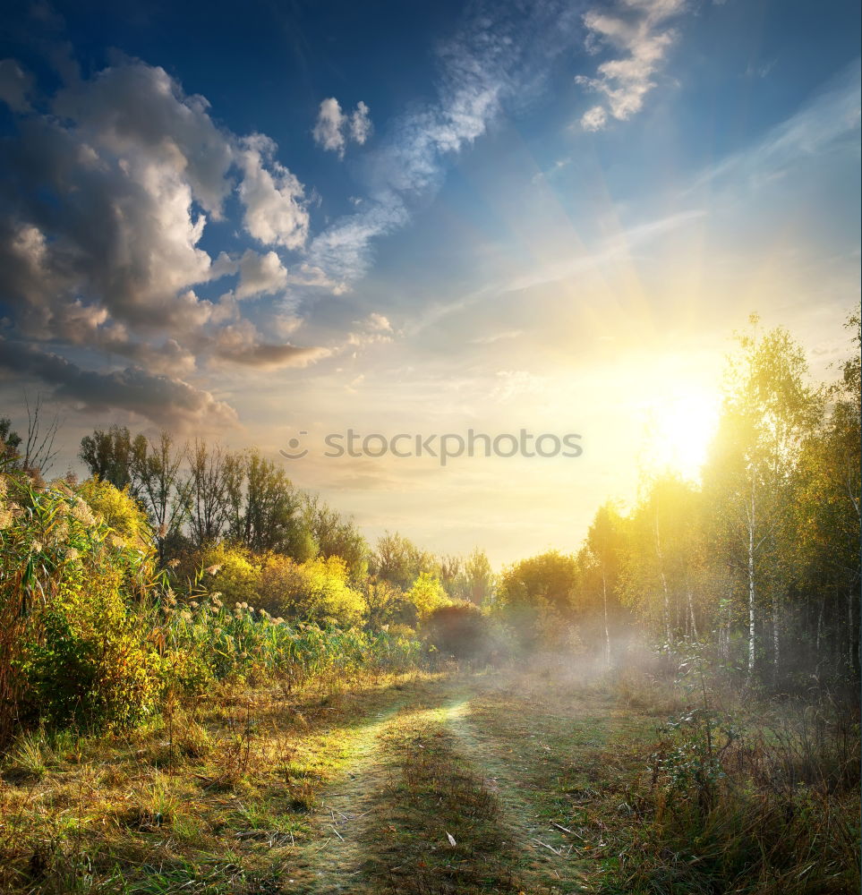 Similar – Image, Stock Photo sunrise Sunrise Fog Meadow