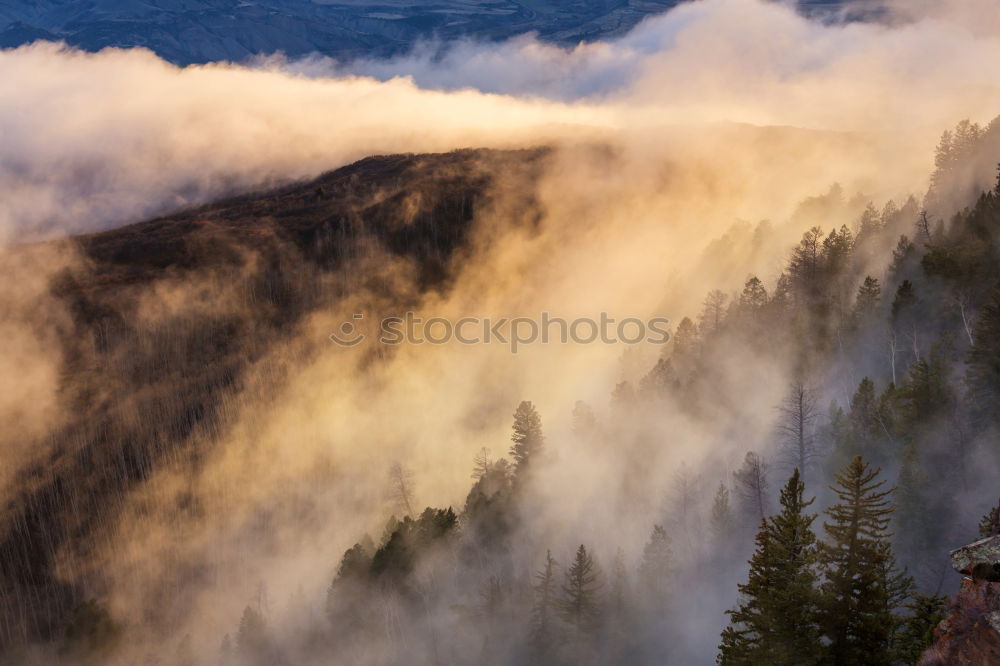 Similar – Landscape with snow on the Brocken in the Harz Mountains