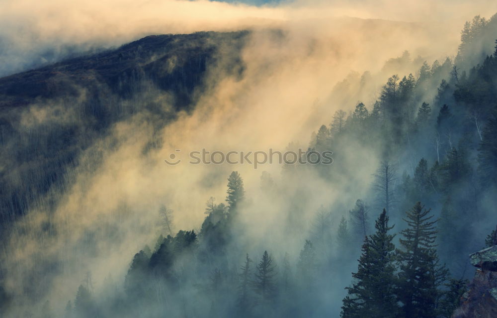 Similar – Rain in autumn colorful forest. Clouds of fog at rainy day