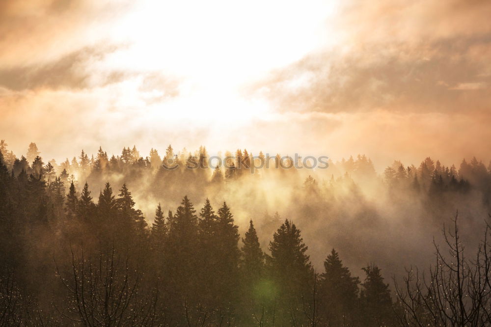 Similar – Image, Stock Photo Winter sun over the river Moldau/ Vitava