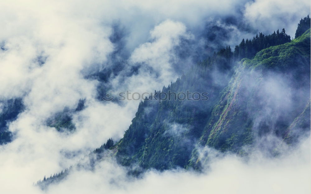 Similar – Autumn September foggy morning in mountains