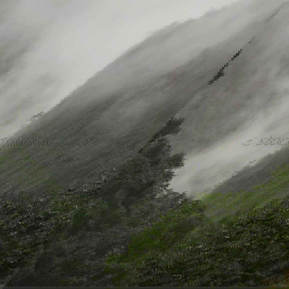 Similar – Image, Stock Photo La Palma