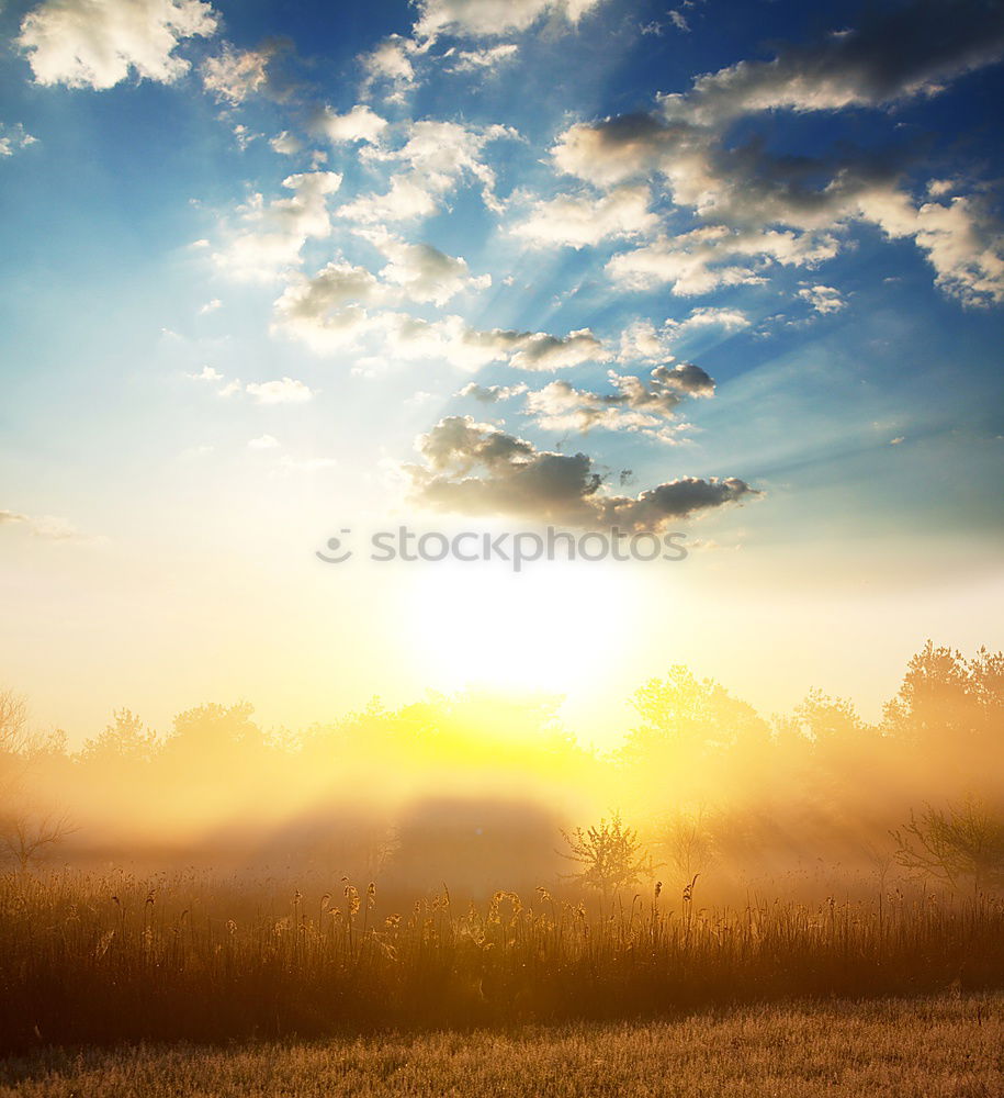 Similar – Landscape of a sunset in the sea