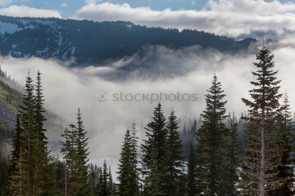 Similar – Image, Stock Photo Diamond Peak Landscape