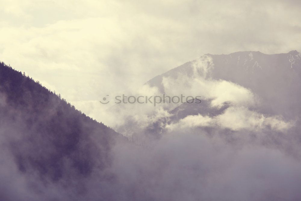 Similar – Spring mountain panorama. Foggy forest on hills