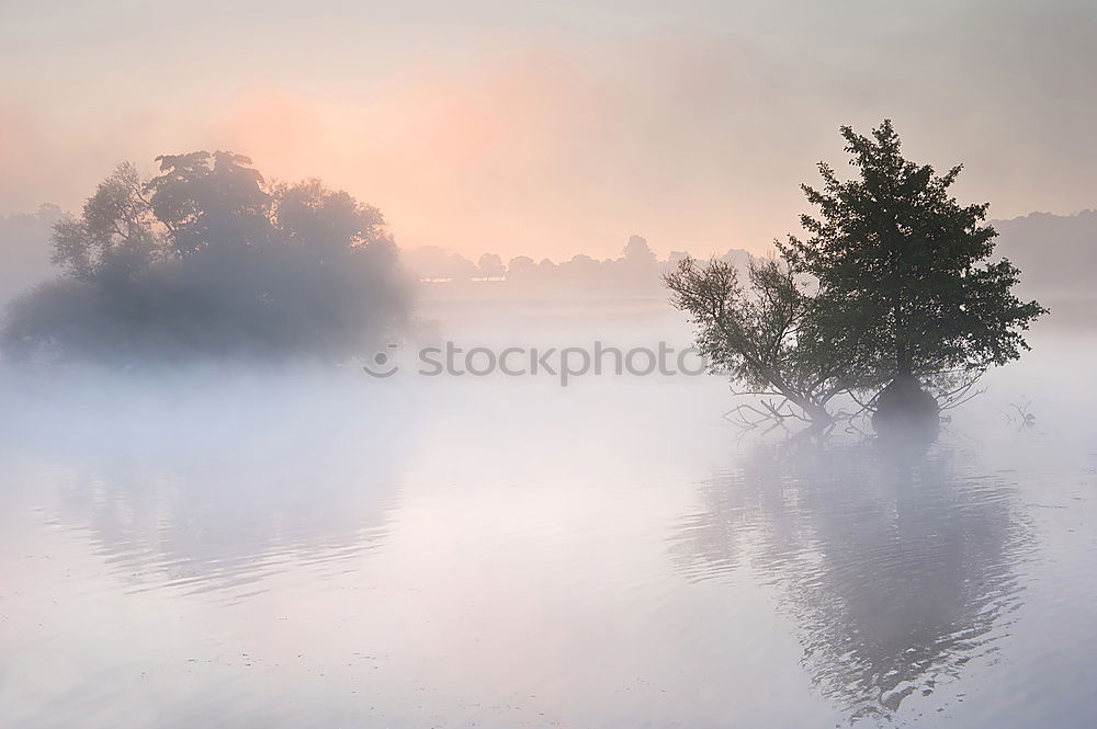 Similar – rest Nature Landscape