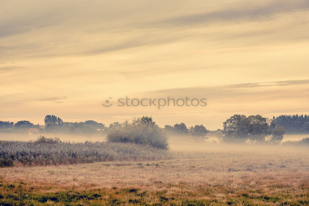 Similar – Image, Stock Photo red in the morning