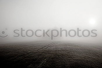 Similar – mist walk Fog Switzerland