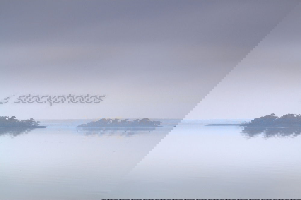 Similar – Foto Bild Drei Haselnüsse für Aschenbrödel