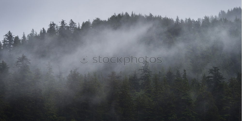 Similar – Image, Stock Photo fog Nature Landscape