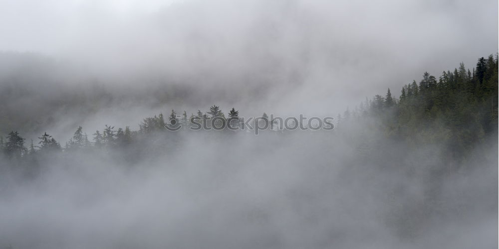 Similar – Green-white Lake Clouds