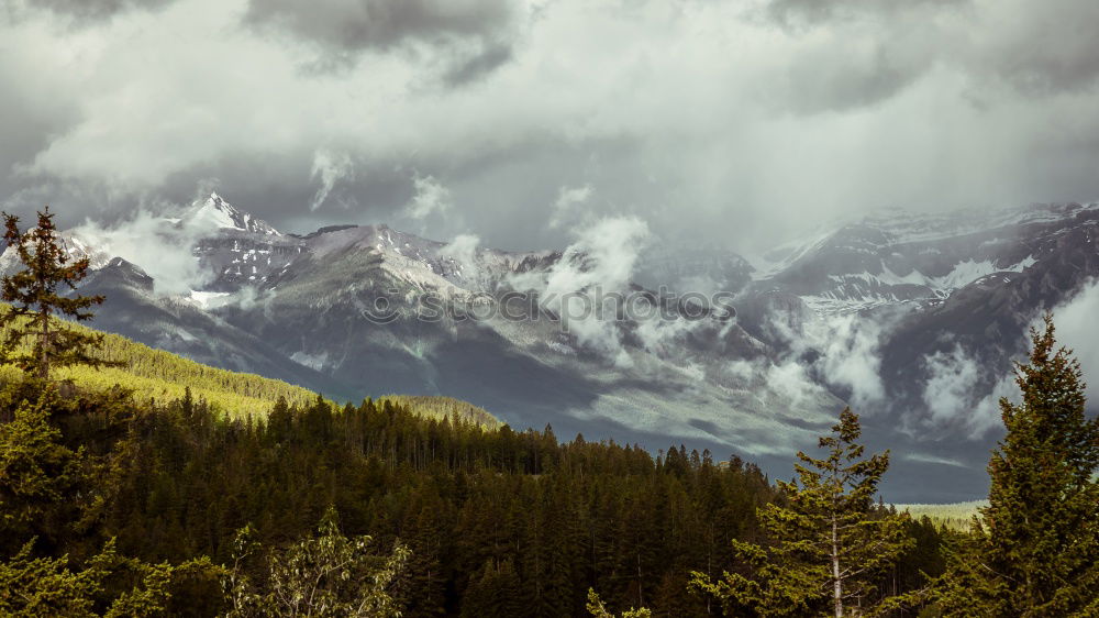 Similar – Image, Stock Photo first snow a year Tourism