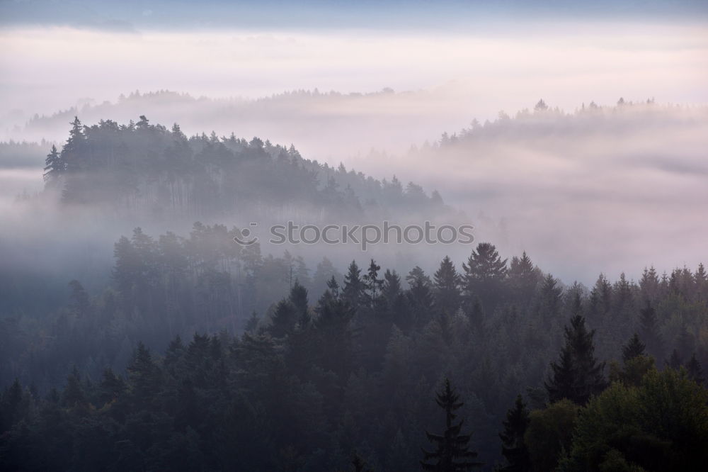 Similar – winter hike in the northern Black Forest on a sunny day