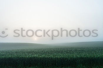 Similar – Foto Bild düngen mit Maische Feld