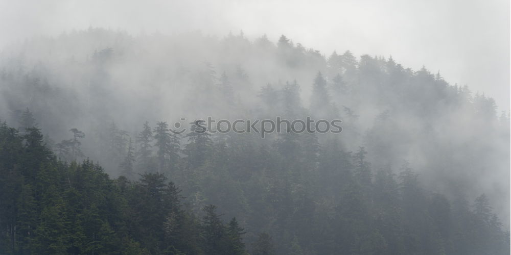 Similar – Frost as far as the eyes can see