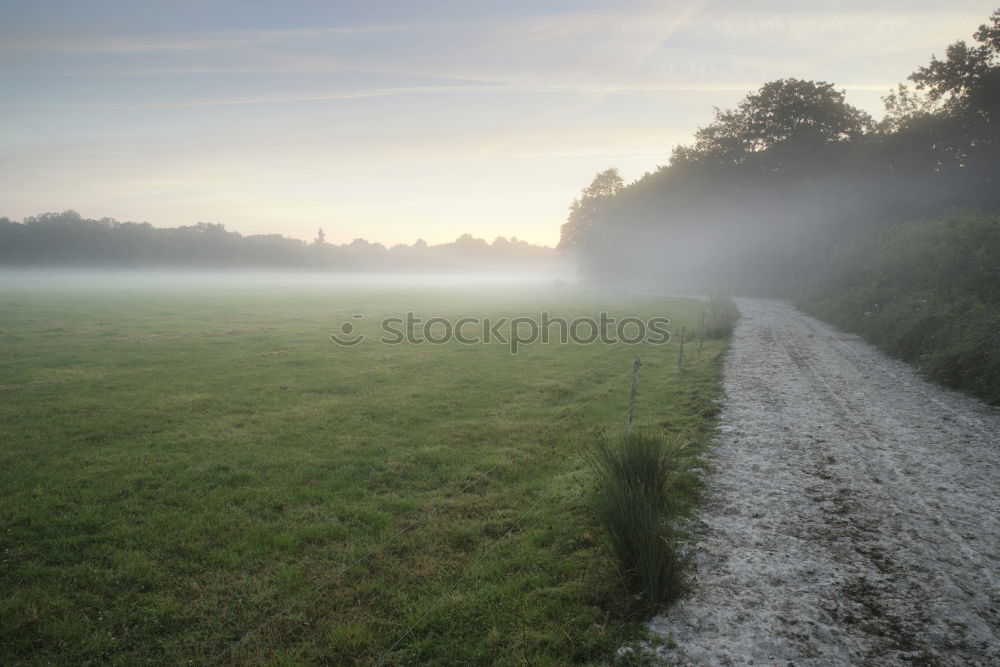 Similar – Foto Bild Morgens Park Ferne Tau