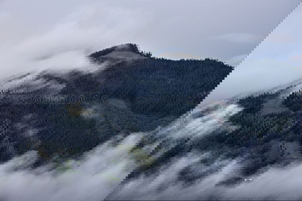 Similar – Image, Stock Photo There’s no more room in heaven