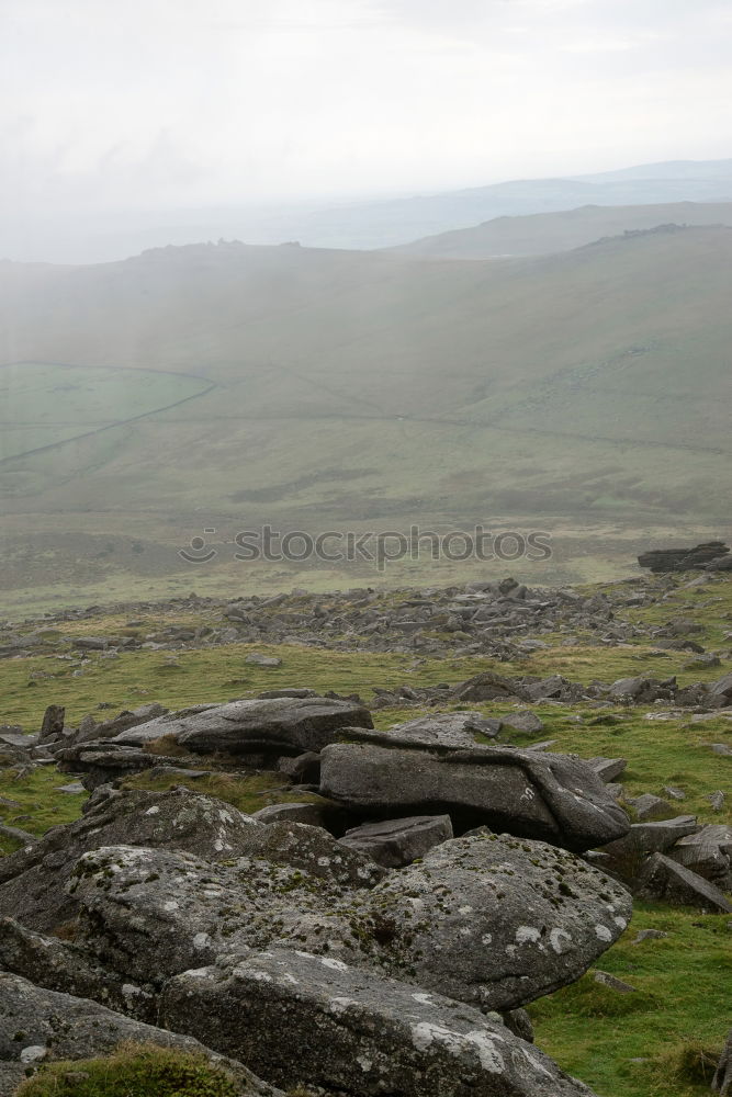 Similar – Foto Bild Aufforstung Landschaft
