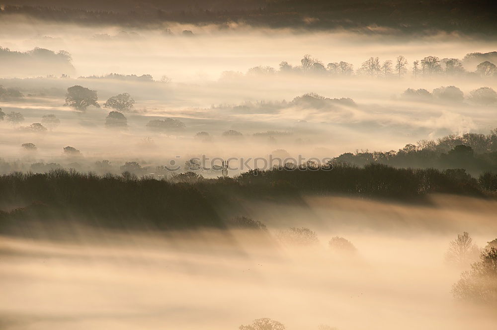 Similar – Golden morning in Tuscany