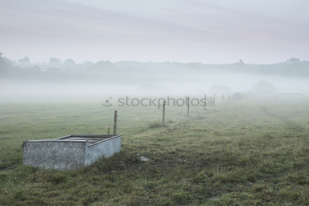 Similar – unsere kleine farm Natur