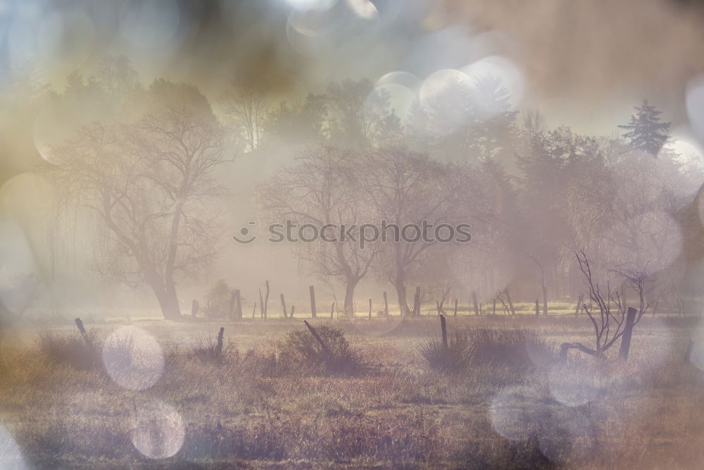 Similar – Image, Stock Photo #A# Dresden in spring IV