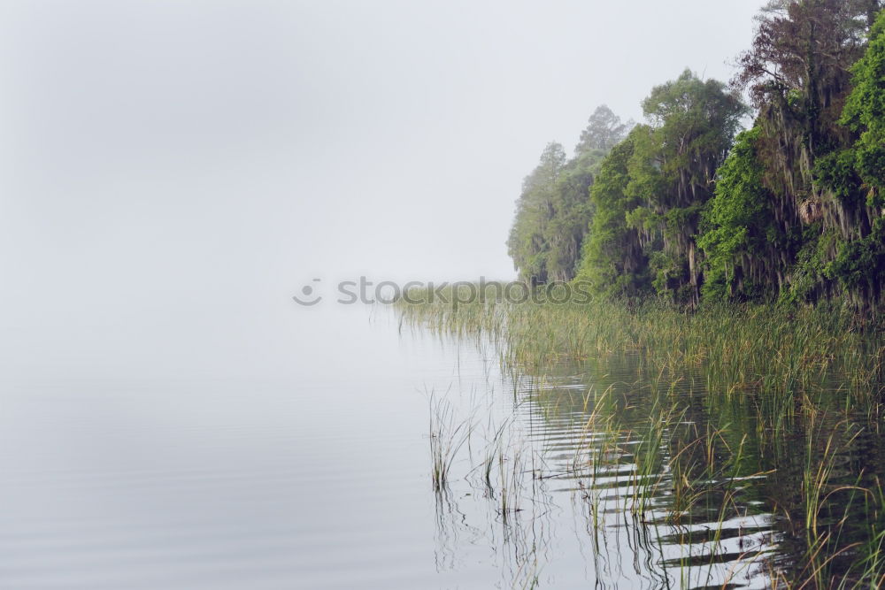 Similar – Image, Stock Photo Reflections of NorWay Tree