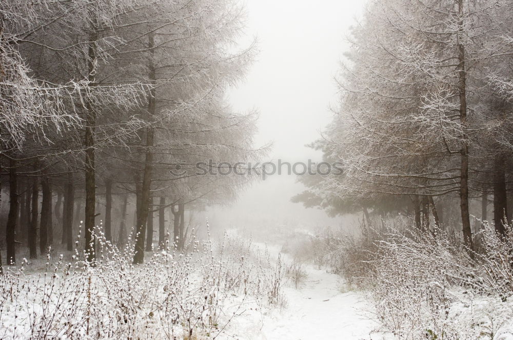 Similar – Image, Stock Photo Bigger than us Environment