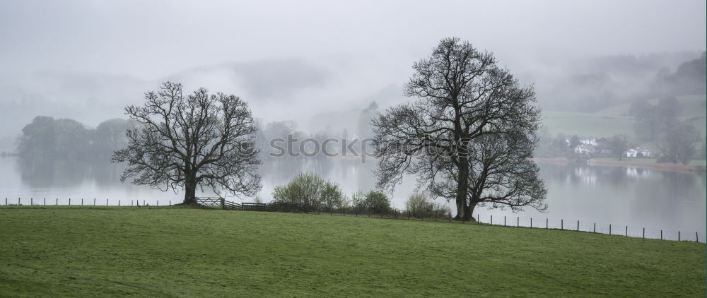 Similar – SAVE ME Lake Rescue Meadow