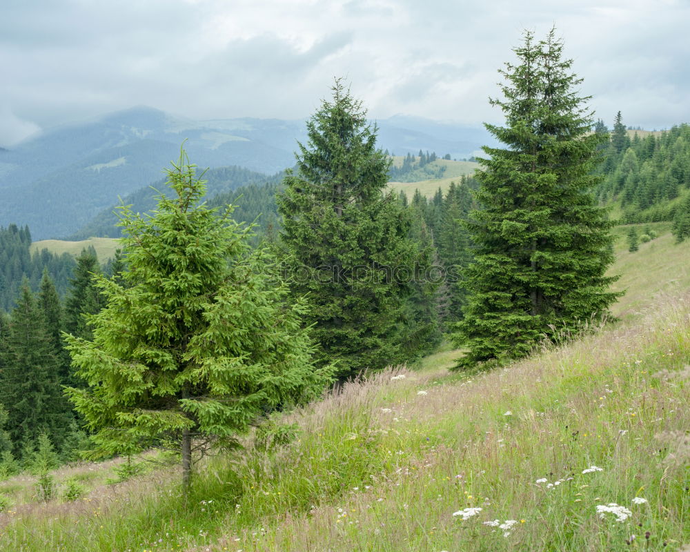 Image, Stock Photo Between mountain and valley