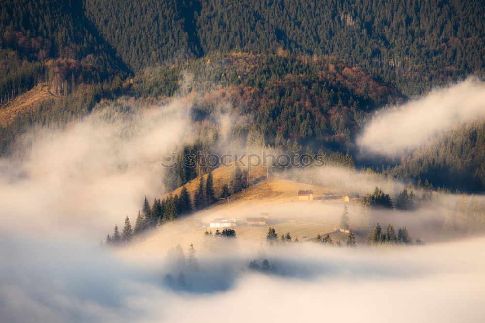 Similar – Image, Stock Photo fog Nature Landscape