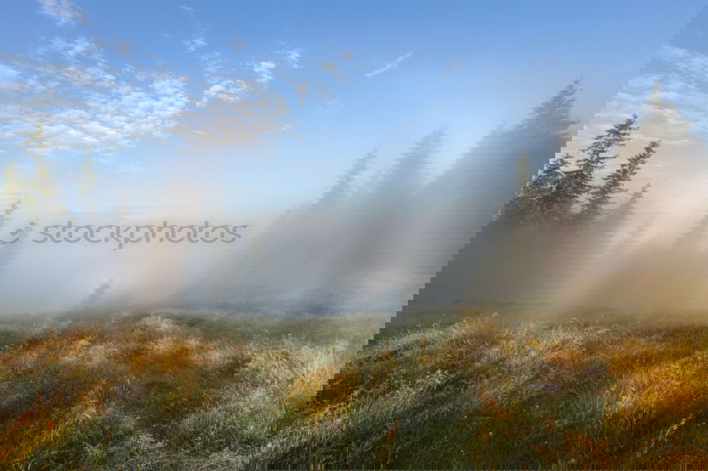Similar – Image, Stock Photo Black Forest Nebula