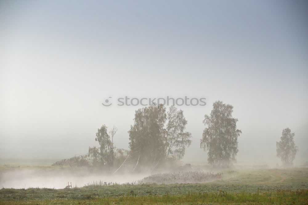 Similar – ground fog Nature