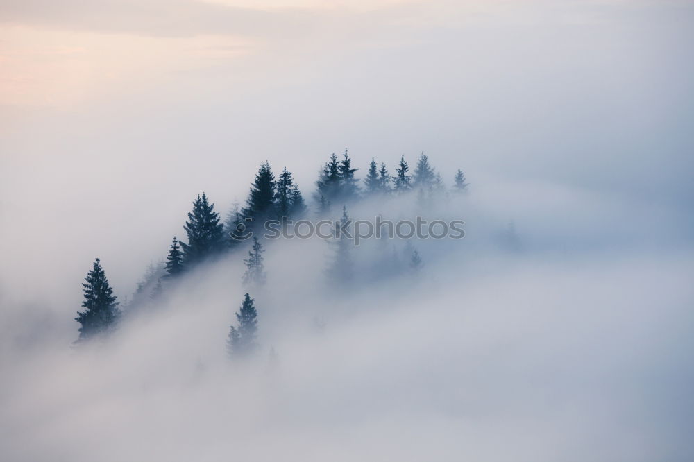 Similar – winter hike in the northern Black Forest on a sunny day