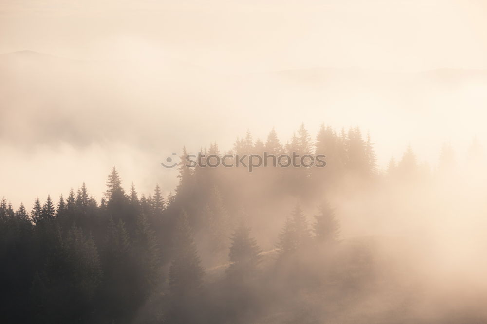 Similar – Panorama of forest covered by low clouds. Autumn rain and fog