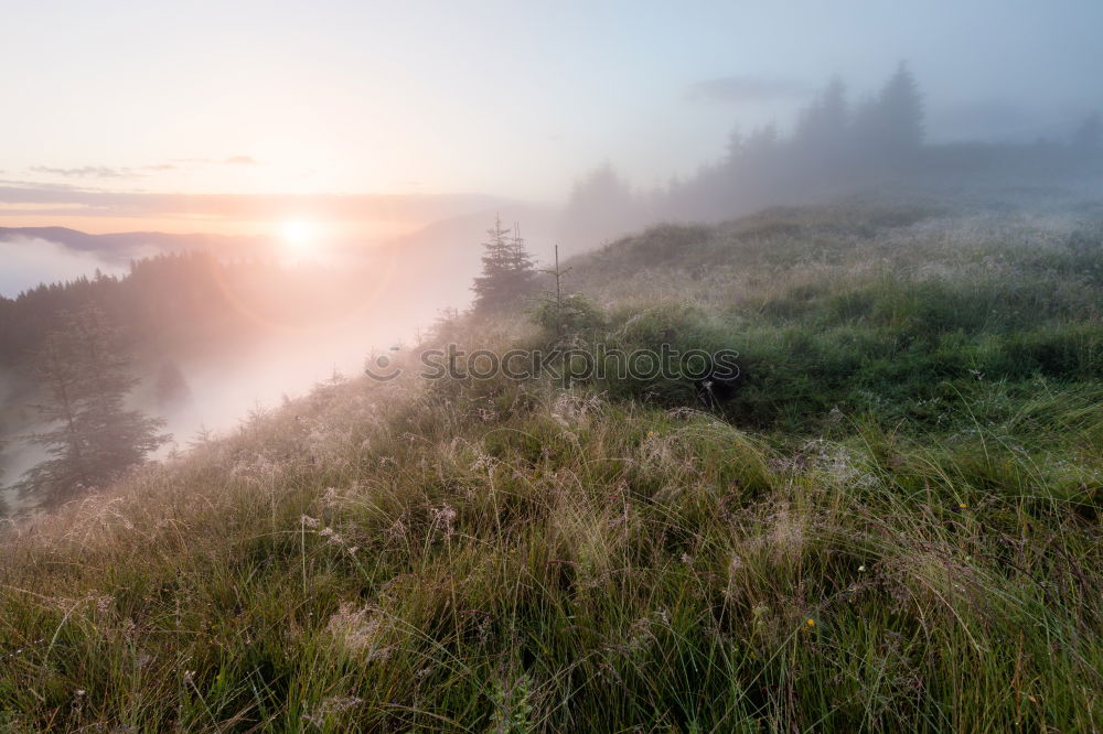 Similar – Image, Stock Photo View from the Timmelsjoch to South Tyrol into the Passeier valley at early morning fog