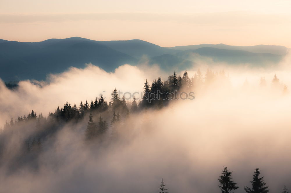 Similar – Rain in autumn colorful forest. Clouds of fog at rainy day