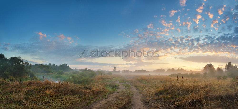 Similar – Sunny and foggy morning in Carpathian mountains