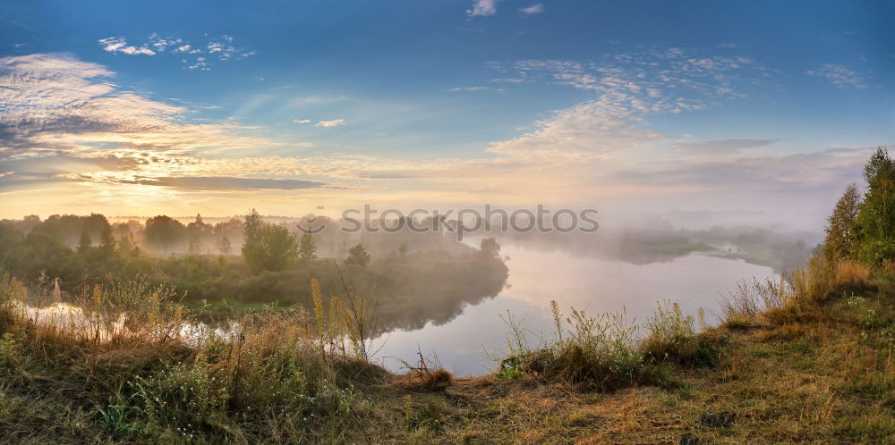 Similar – Image, Stock Photo Spreedorado Decorative Crawling Morning Fog.