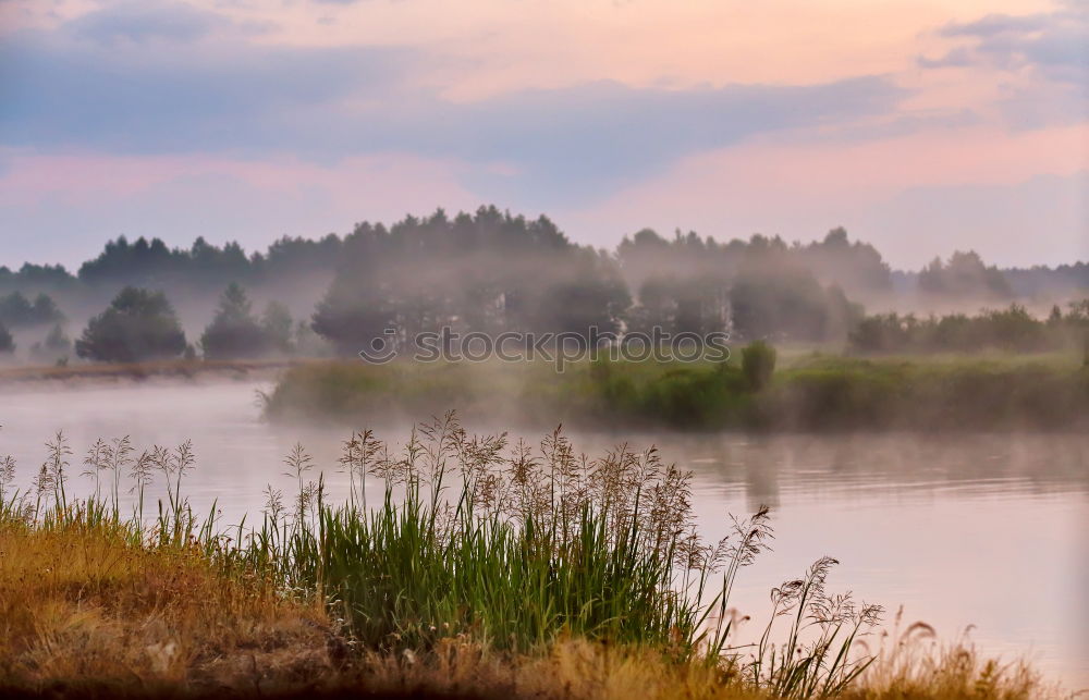 Similar – Image, Stock Photo Colorful riverside