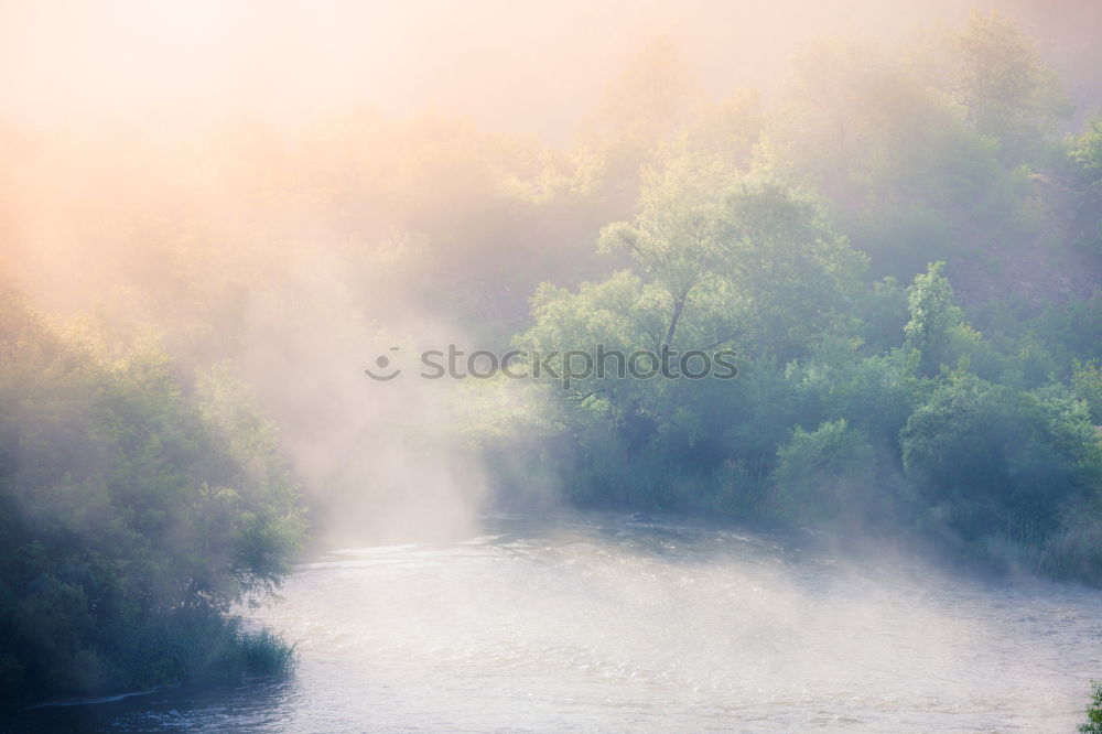 Similar – Image, Stock Photo They’re drops of water in summer.