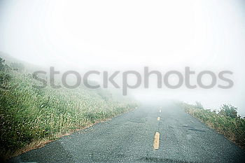 Similar – Image, Stock Photo terraces Agriculture