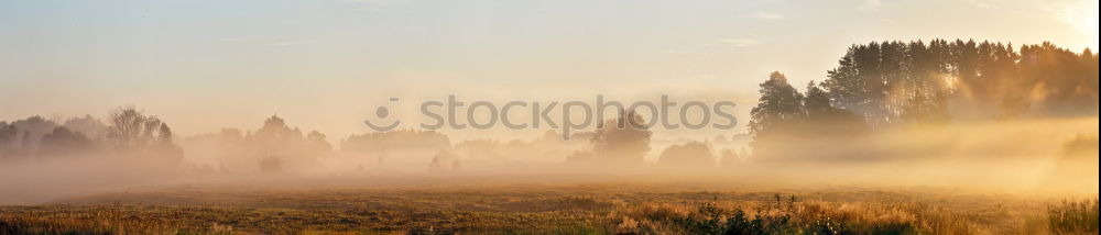 Similar – Foto Bild Sonnenaufgang im Allgäu