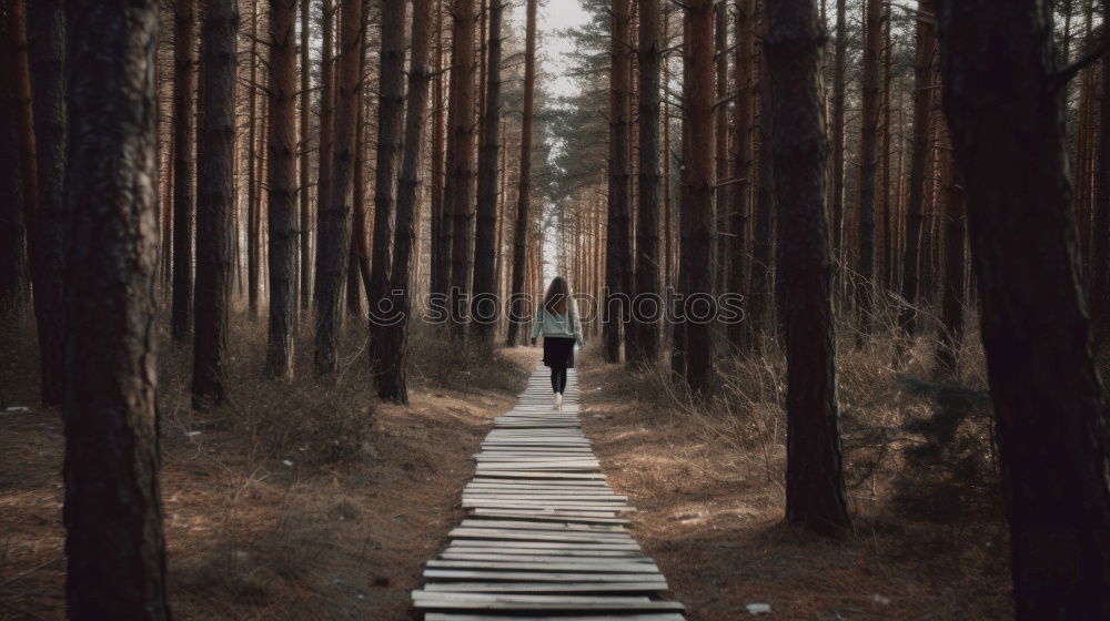 Similar – Image, Stock Photo Small posts and path in woods