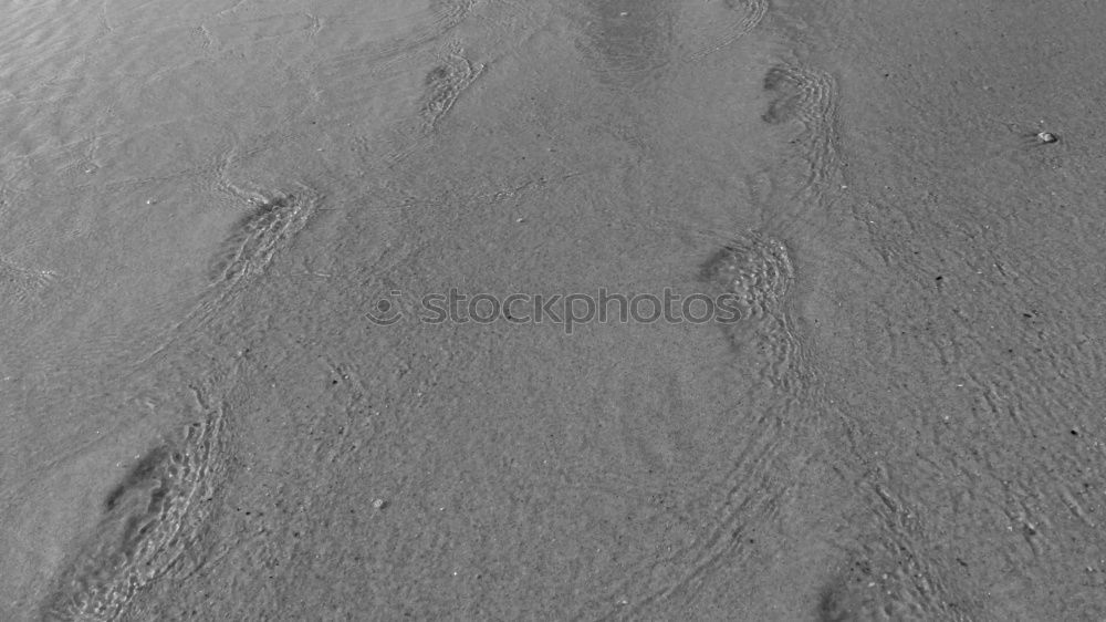 Similar – Image, Stock Photo Footprint in the sand Traces in the sand