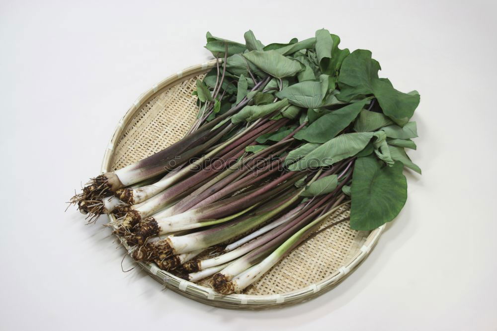 Similar – Image, Stock Photo Sage leaves and old paper sheet