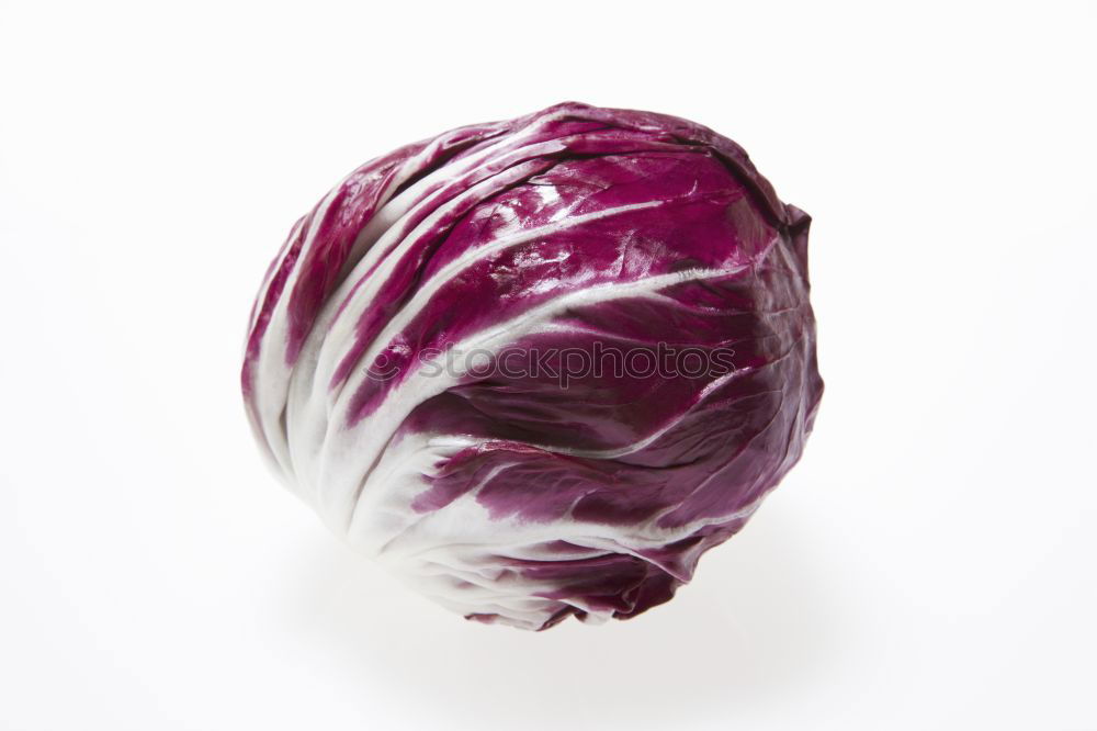 Cabbage 2 Leaf