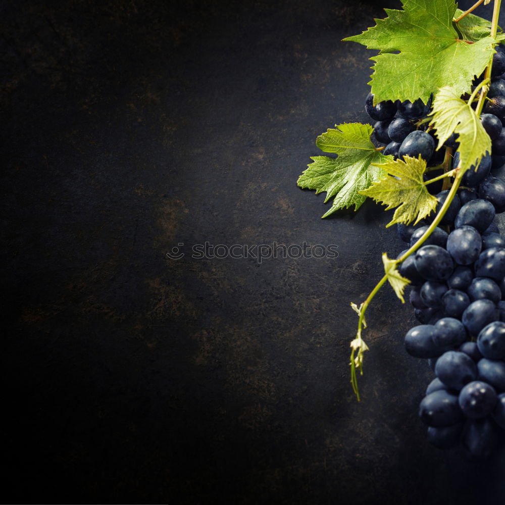 Similar – Image, Stock Photo Main ingredients for wine