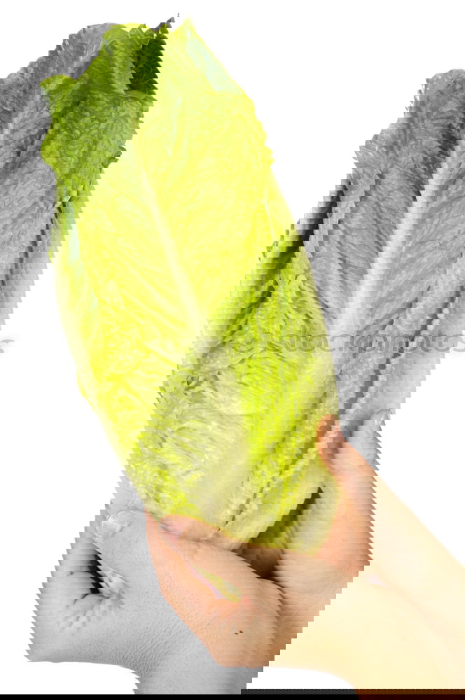 Similar – Foto Bild lecker Brot part II